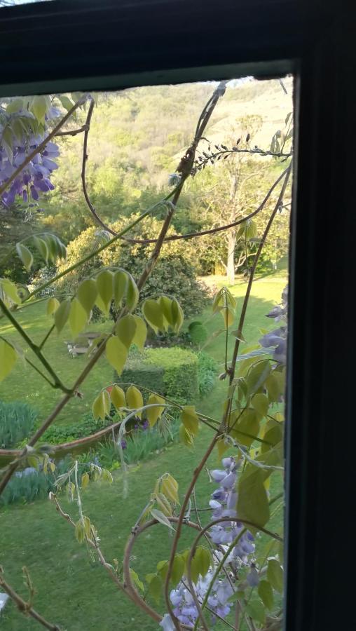 Les Palmiers Bed and Breakfast Mauves Buitenkant foto